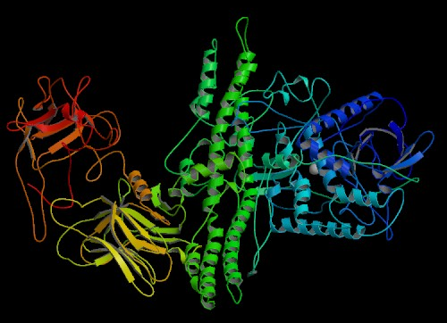 Lacy, D.B., Tepp, W., Cohen, A.C., DasGupta, B.R., Stevens, R.C. via Wikimedia Commons -- https://commons.wikimedia.org/wiki/File:Botox-structure.png