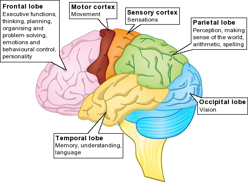 VA brain injury attorneys