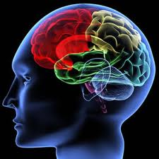 Best NC brain injury attorneys